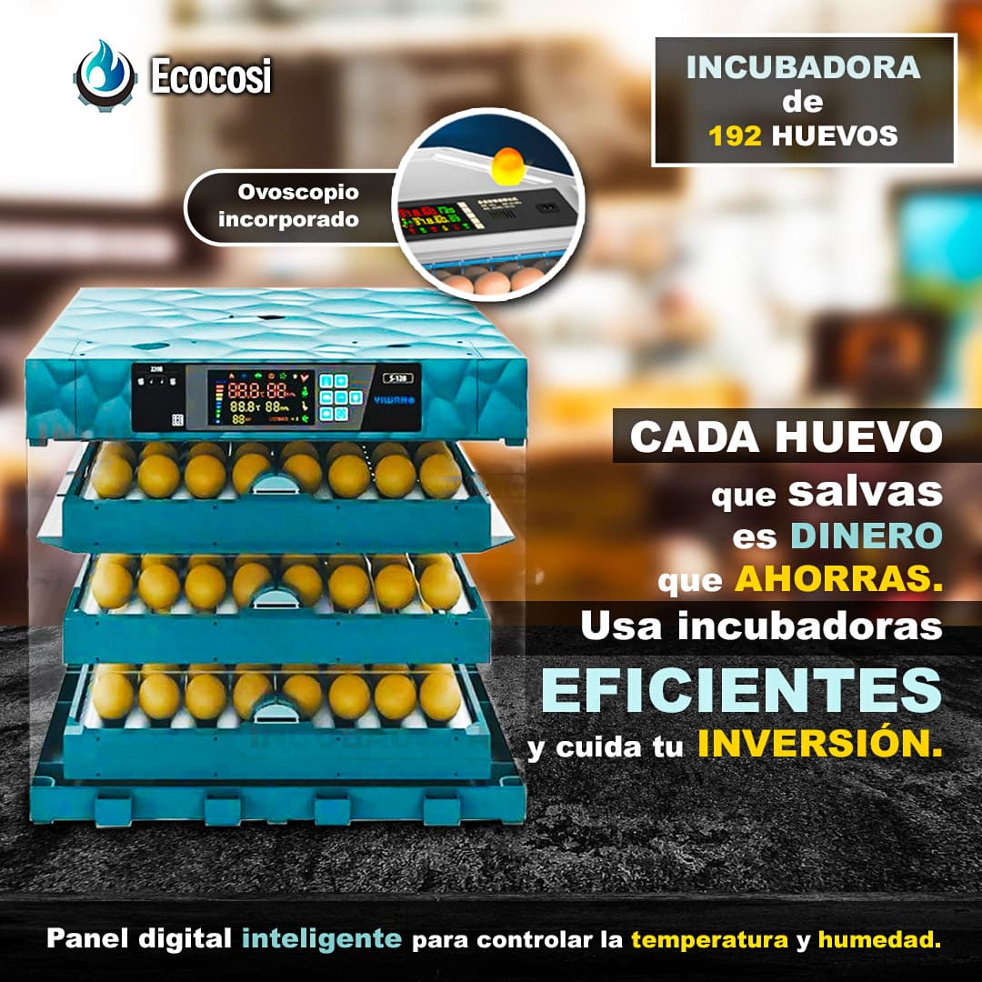 INCUBADORA DE 192 HUEVOS TIPO ROCA
