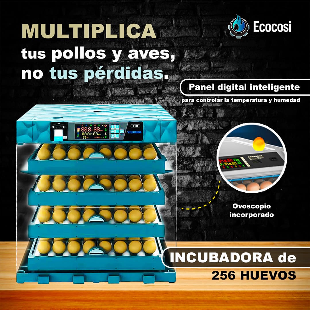 INCUBADORA DE 256 HUEVOS TIPO ROCA