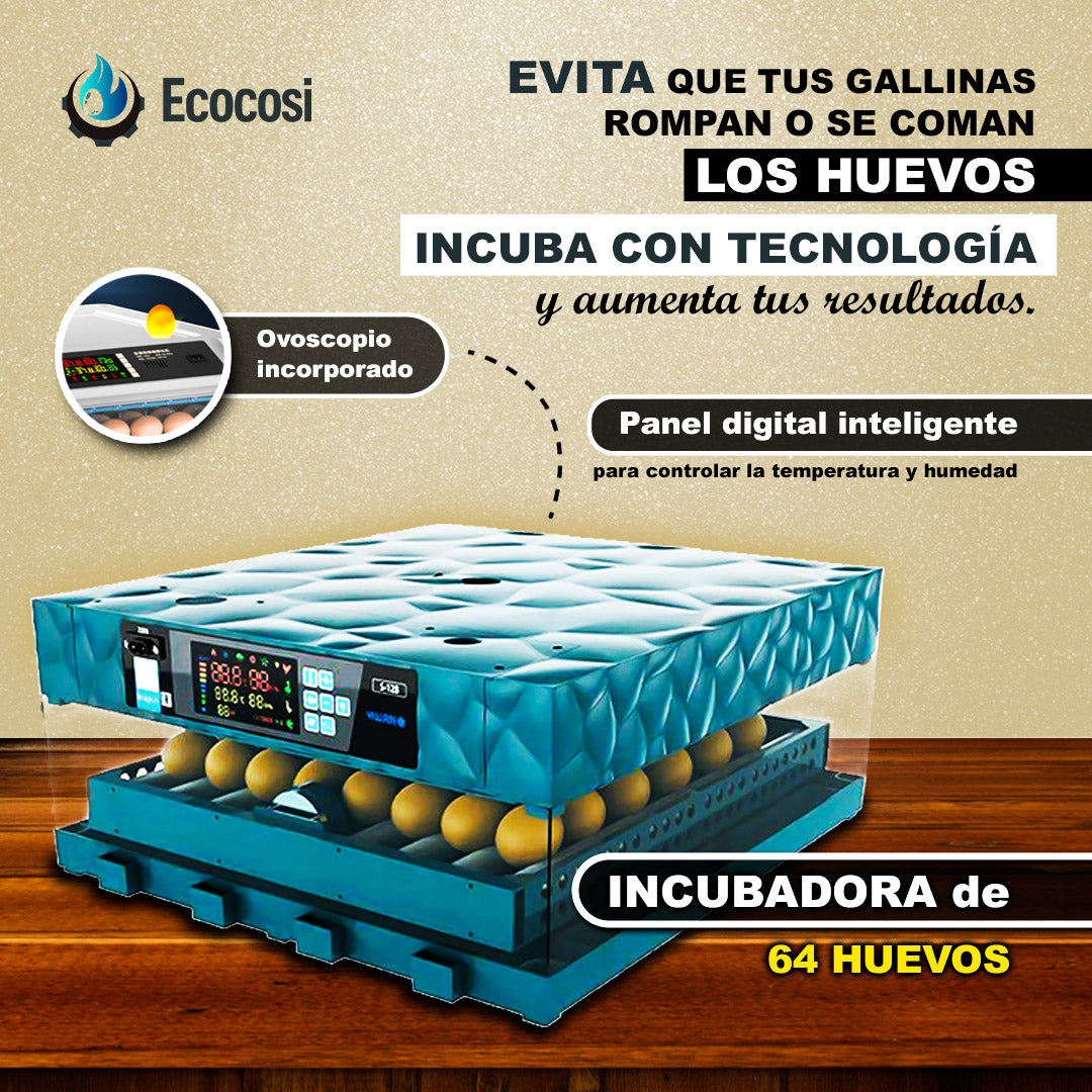 INCUBADORA DE 64 HUEVOS TIPO ROCA
