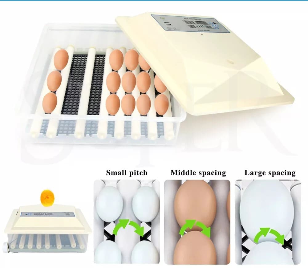 INCUBADORA DE 48 HUEVOS